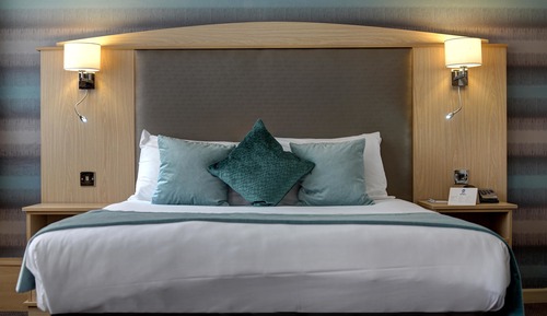 Executive Room, 1 King Bed, Non Smoking (with Sofabed)
