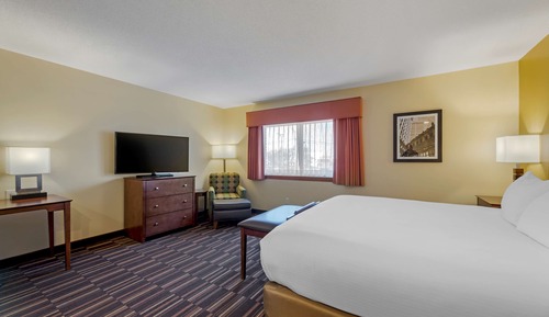Standard Room, 1 King Bed, Non Smoking, Jetted Tub