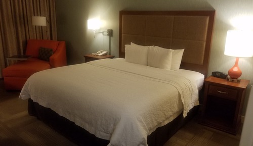Room, 1 King Bed, Non Smoking