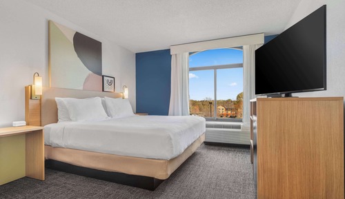 Room, 1 King Bed with Sofa bed