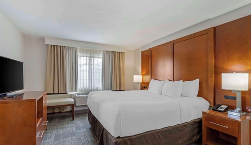 Suite, 1 King Bed with Sofa bed, Non Smoking