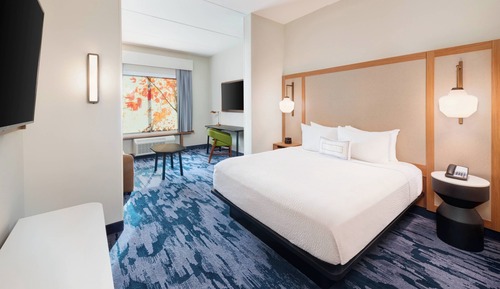 Studio Suite, 1 King Bed with Sofa bed