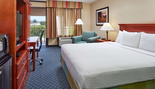 Room, 1 King Bed, Non Smoking