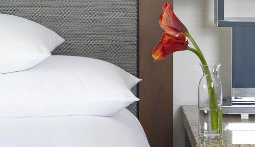 Room, 1 King Bed, Accessible, Bathtub