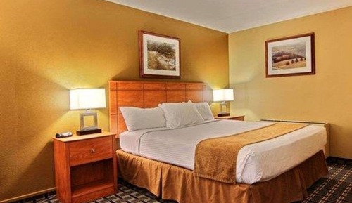 Standard Room, 1 King Bed, Non Smoking