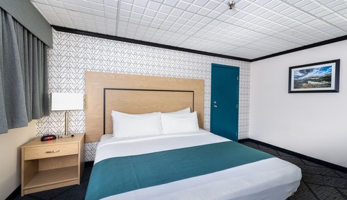 Room, 1 King Bed, Non Smoking