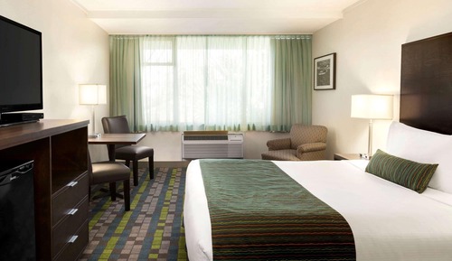 Room, 1 Queen Bed, Non Smoking (Efficiency)