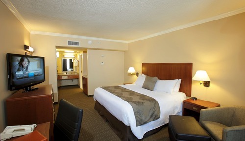 Standard Room, 1 Queen Bed, Non Smoking, Patio (Small Room)