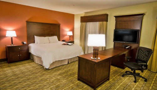 One Large King Studio Suite