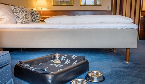 Classic Room, Sea View