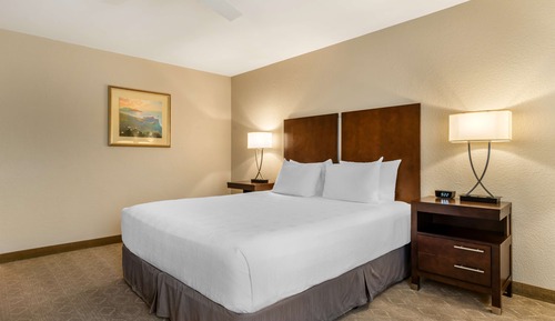 Standard Room, 1 King Bed, Non Smoking, Refrigerator