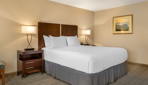 Standard Room, 1 King Bed, Accessible, Bathtub