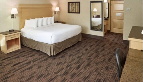 Room, 1 King Bed, Non Smoking