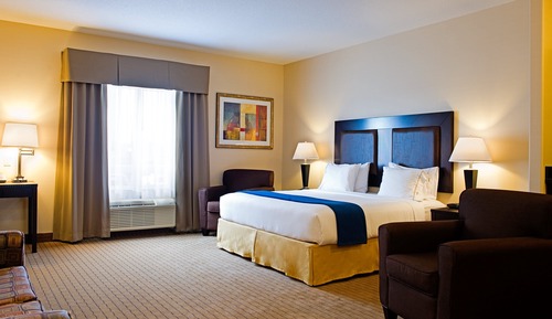 Suite, 1 King Bed with Sofa bed