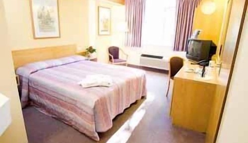 Comfort Room, 1 Queen Bed
