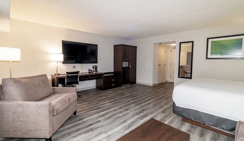 Executive Suite (King)