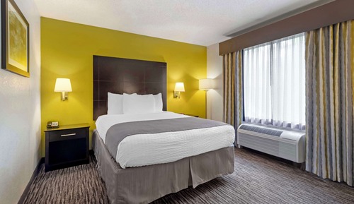 Standard Room, 1 Queen Bed, Non Smoking, Refrigerator & Microwave (Small Room)