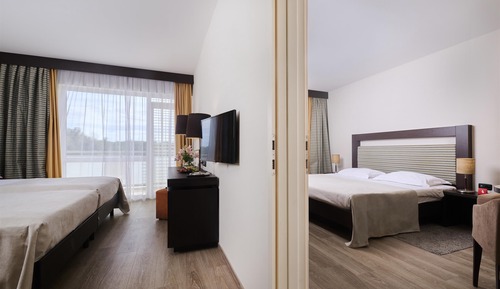Classic Room, Balcony (Park side - connected)