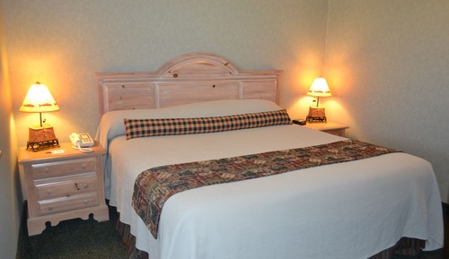 Standard Room, 1 King Bed with Sofa bed