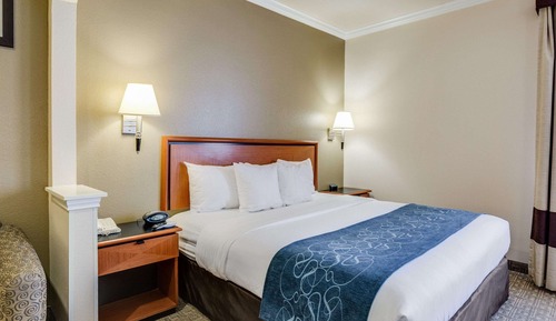 Business Suite, 1 King Bed with Sofa bed, Accessible, Non Smoking