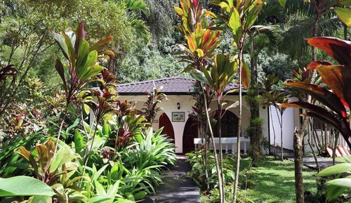 King Room with Garden View