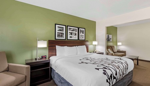 Standard Room, 1 King Bed, Non Smoking