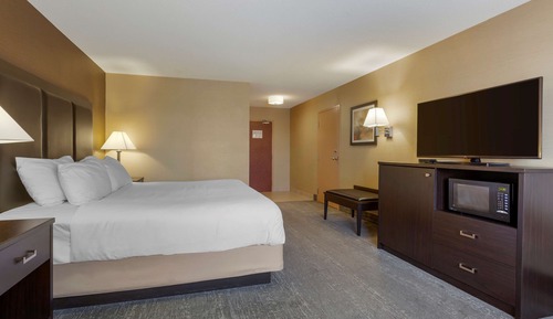 Executive Room, 1 King Bed, Non Smoking, Refrigerator & Microwave (Shower Only)
