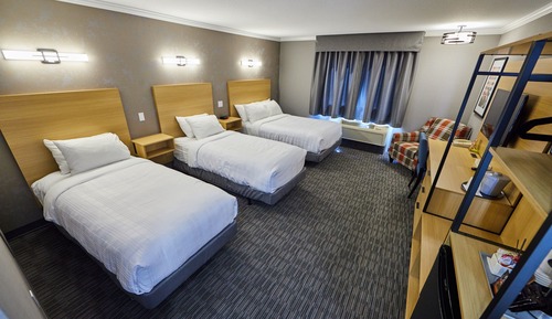 Standard Room, Multiple Beds (No Pets)