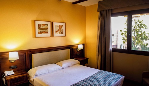 Basic Single Room