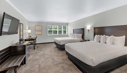 Standard Room, 2 Queen Beds, Non Smoking, Refrigerator & Microwave