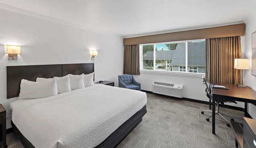 Suite, 1 King Bed, Non Smoking, Kitchen (with Sofabed, Full Kitchen)
