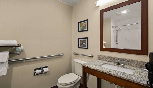 Room, 1 King Bed, Accessible, Non Smoking (Roll-In Shower)
