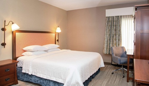Room, 1 King Bed, Accessible, Bathtub