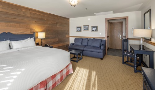 Superior Room, 1 King Bed with Sofa bed