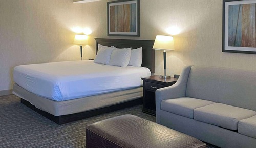 Standard Room, 1 King Bed, Non Smoking (Larger Room)
