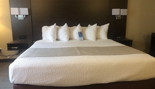 Room, 1 King Bed, Non Smoking