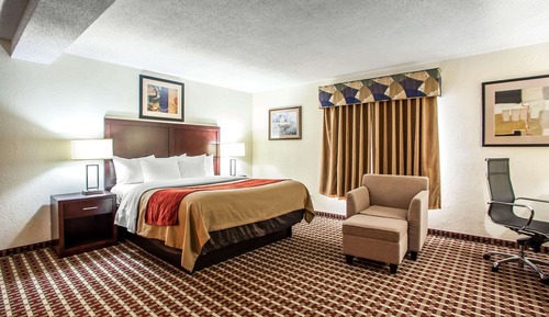 Room, 1 King Bed, Non Smoking