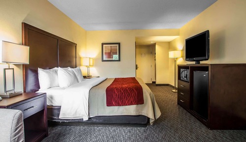Room, 1 King Bed, Accessible, Non Smoking