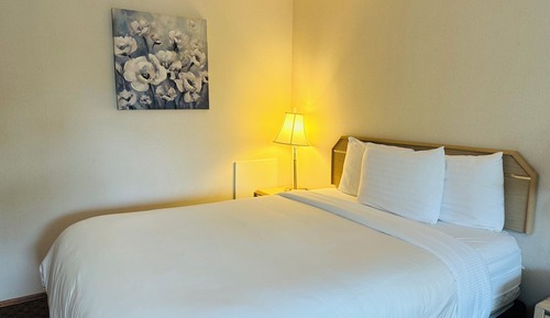 Standard Room, 1 Queen Bed, Non Smoking