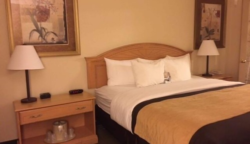 Suite, 1 King Bed with Sofa bed, Non Smoking