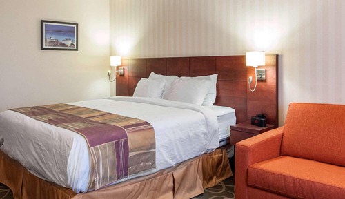 Standard Room, 1 King Bed with Sofa bed, Non Smoking