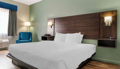 Standard Room, 1 King Bed, Accessible, Refrigerator