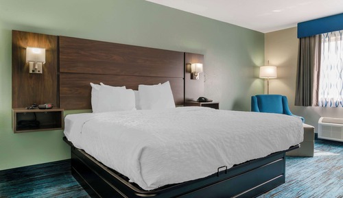 Standard Room, 1 King Bed, Non Smoking, Refrigerator