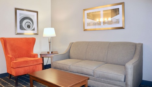 Standard Room, 1 King Bed, Non Smoking, Refrigerator & Microwave (with Sofabed)
