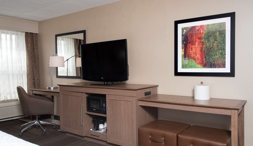 Room, 1 King Bed, Accessible, Non Smoking