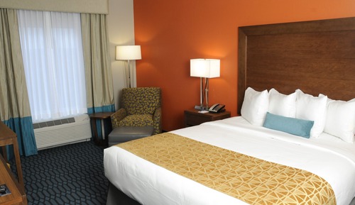 Standard Room, 1 King Bed, Accessible (The Lodge)