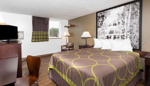 Room, 1 Queen Bed, Non Smoking (Pet-Friendly)