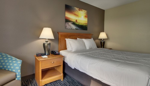 Room, 1 Queen Bed, Accessible (Handicapped Queen)