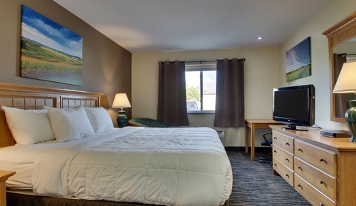Room, 1 King Bed, Accessible (Handicapped Accessible King)