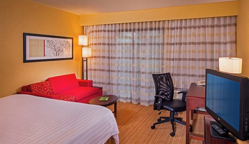 Room, 1 King Bed with Sofa bed